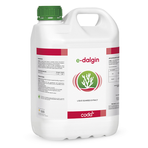 E-DALGIN - 1L