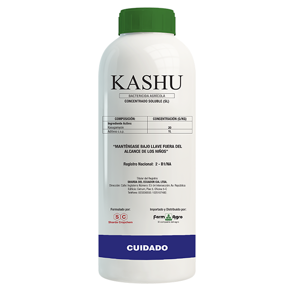 Kashu - 500 Cc.