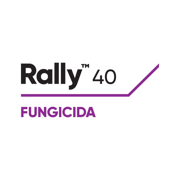 RALLY 40 PM - 40 GR